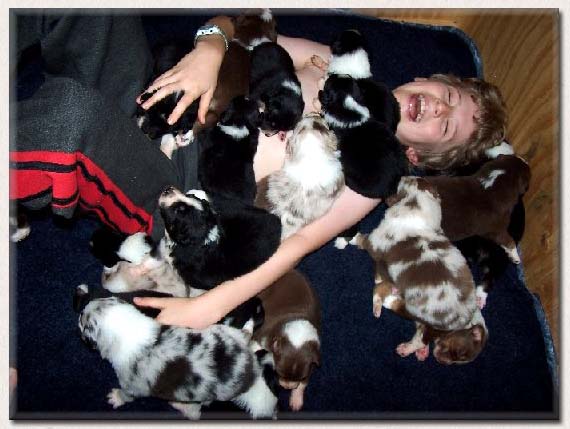 Aidan with 20 puppies