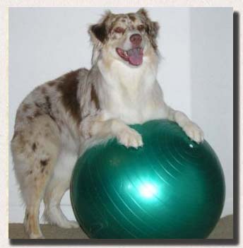 Diesel and his Pilate ball